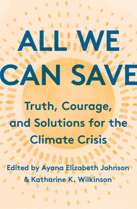 All We Can Save book cover